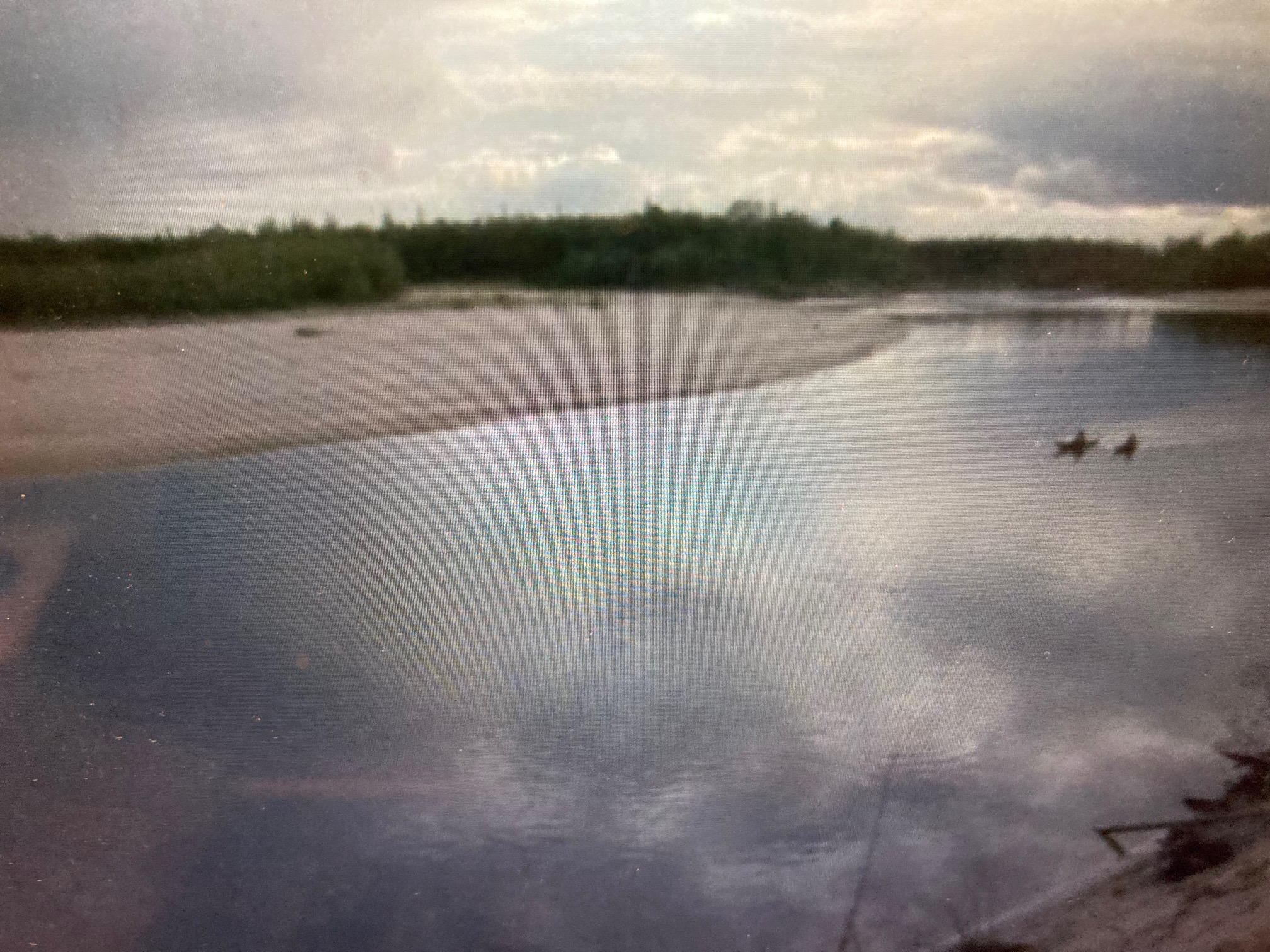 2025年度第５回エストニア文化セミナー　　  　終了しました